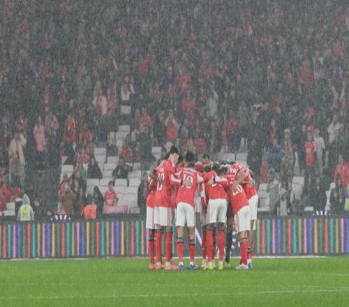 探讨裁判处,罚力度调整,与赛事公平,55125中国彩吧,彩票平台,在线购彩,快速投注,彩票分析