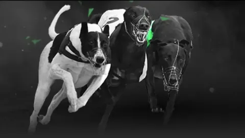 “2025年经济亮点揭晓：万亿GDP城市阵营继续壮大”